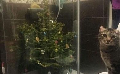 Соцсети