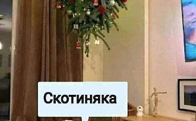 Соцсети