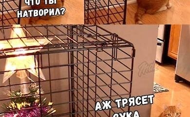 Соцсети